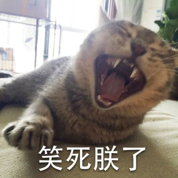 笑死朕了
