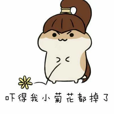 吓得我小菊花都掉了（吓得我小菊花都掉了）
