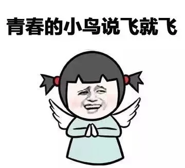 青春的小鸟说飞就飞（青春的小鸟说飞就飞）