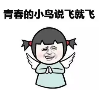 青春的小鸟说飞就飞