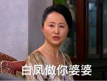白凤做你婆婆（白凤做你婆婆）