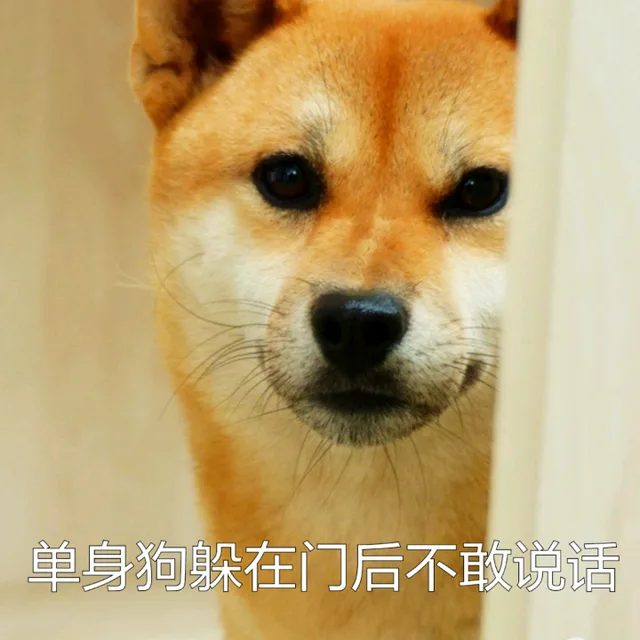 单身狗躲在门后不敢说话