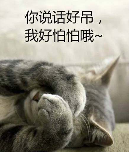 你说话好吊，我好怕怕哦