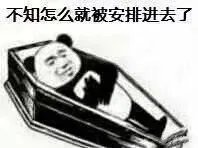 快放我出去，熊猫头棺材板儿