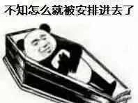 快放我出去，熊猫头棺材板儿表情包