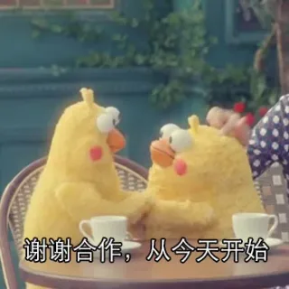 谢谢合作，从今天开始