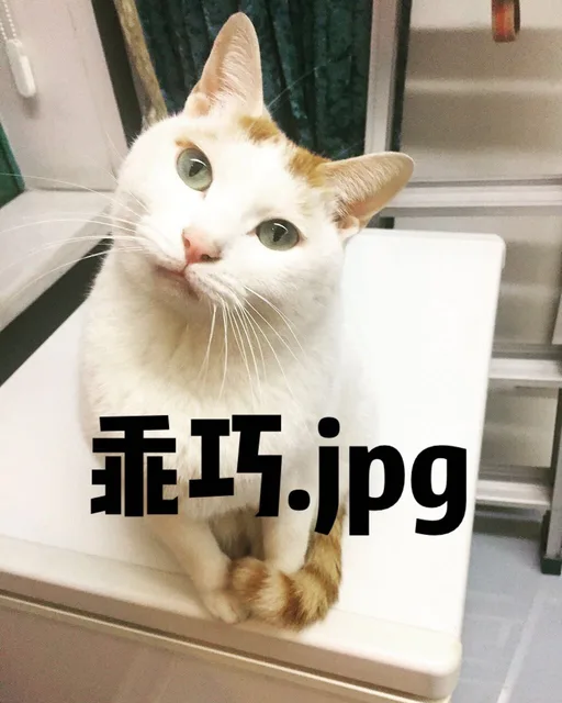 乖巧ipg