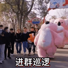 进群巡逻（粉色考拉表情包）（进群巡逻（粉色考拉表情包））