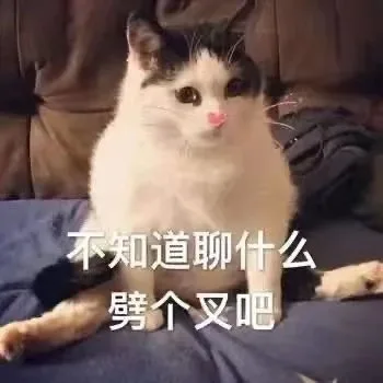 不知道聊什么劈个叉吧（不知道聊什么劈个叉吧）
