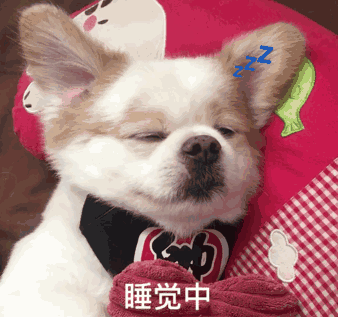 睡觉中（呆萌乖乖狗）