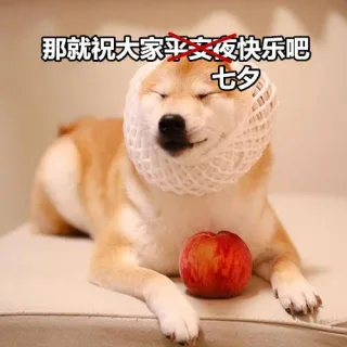 那就祝大家七夕（平安夜）快乐吧