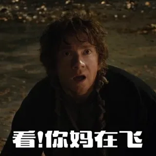 看！你妈在飞