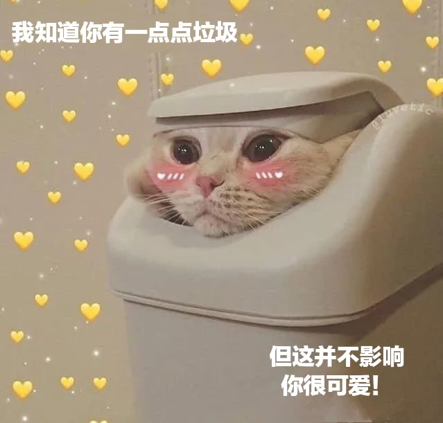 我知道你有一点点垃圾但这并不影响你很可爱!（我知道你有一点点垃圾但这并不影响你很可爱!）