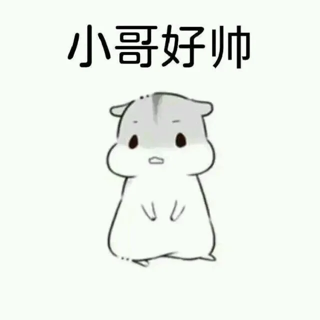 小哥好帅（小哥好帅）