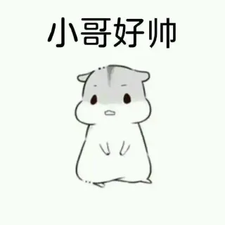 小哥好帅