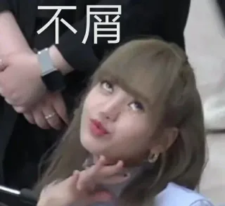 不屑（Lisa表情包）