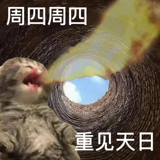 周四周四重见天日（周四周四重见天日）