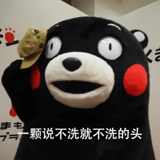 一个说不洗就不洗的头