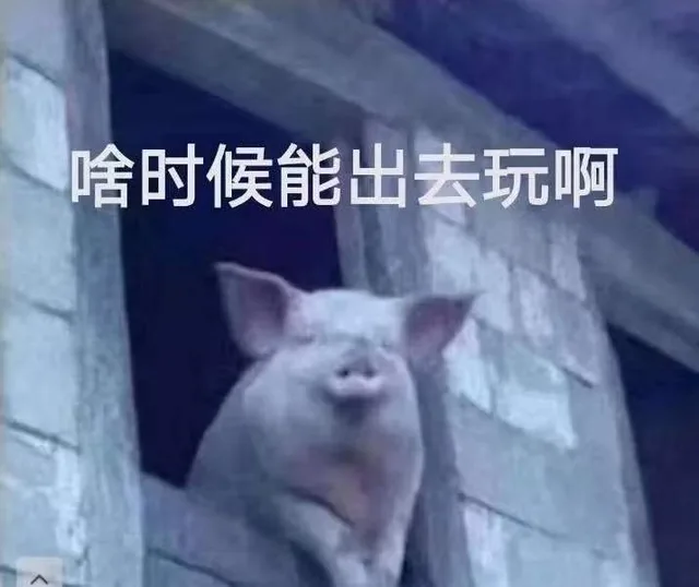 啥时候能出去玩啊（啥时候能出去玩啊）