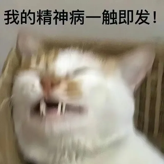 我的精神病一触即发！（我的精神病一触即发！）