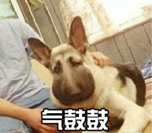 气鼓鼓（气鼓鼓）