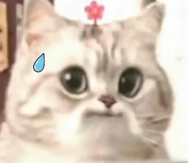 微笑小猫表情包 泪了