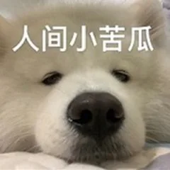 人间小苦瓜（人间小苦瓜）
