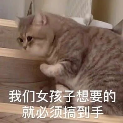 我们女孩子想要的就必须搞到手（我们女孩子想要的就必须搞到手）