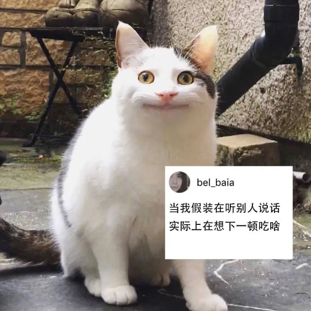 当我假装在听别人说话实际上在想下一顿吃啥