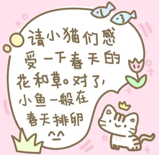 小猫文学