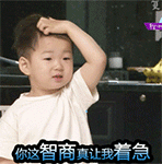 哎，你这智商真让我着急（哎，你这智商真让我着急）