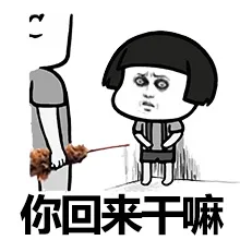 你回来干嘛