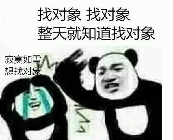 寂寞如雪 想找对象！找对象 整天就知道找对象（寂寞如雪 想找对象！找对象 整天就知道找对象）