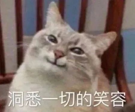 洞悉一切的笑容（洞悉一切的笑容）