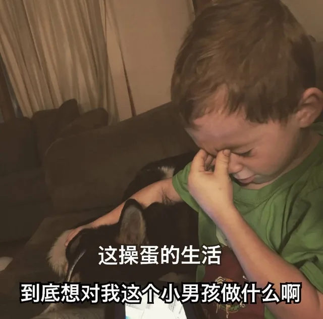 这操蛋的生活到底想对我这个小男孩做什么啊(假笑男孩 Gavin)（这操蛋的生活到底想对我这个小男孩做什么啊(假笑男孩 Gavin)）
