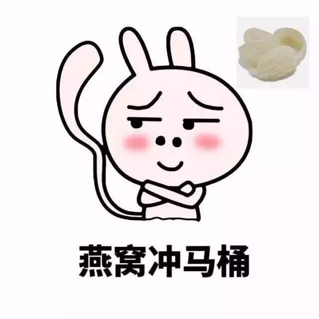 燕窝冲马桶
