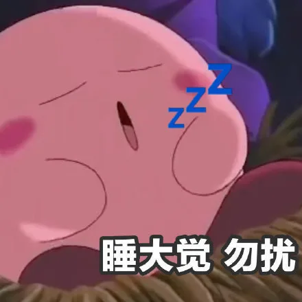 睡大觉勿扰（睡大觉勿扰）