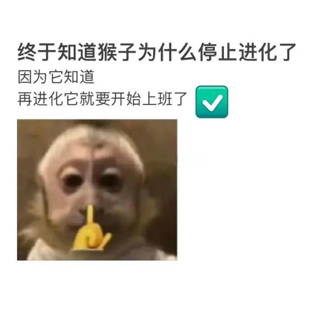 终于知道猴子为什么停止进化了因为它知道再进化它就要开始上班了（终于知道猴子为什么停止进化了因为它知道再进化它就要开始上班了）