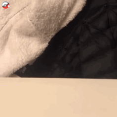 猫咪爱心发射表情包