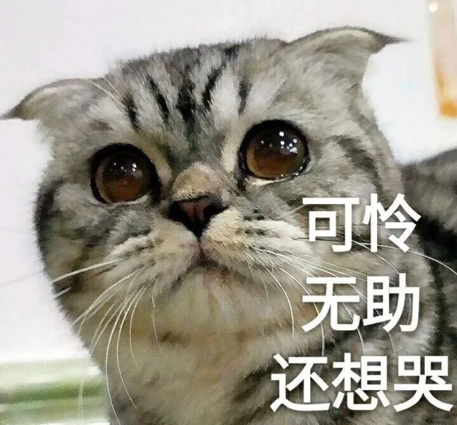 现实被骂VS网上被骂