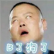 B了狗了