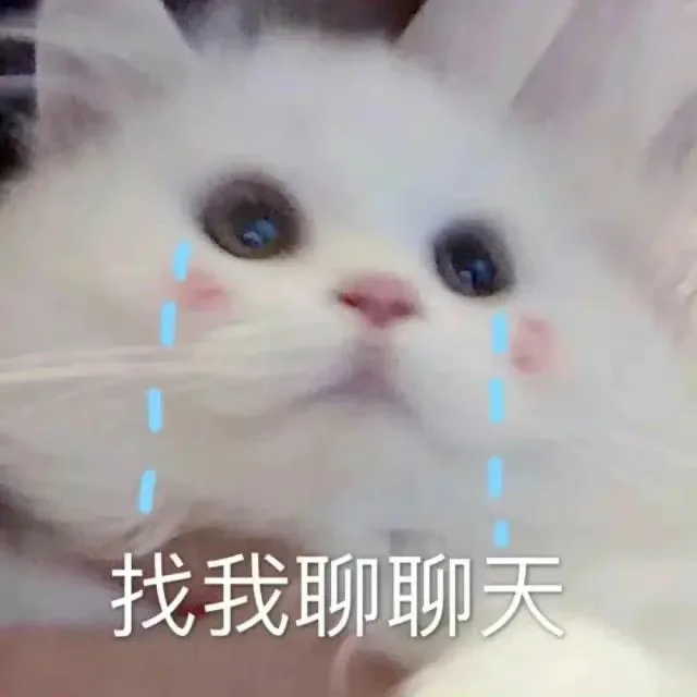 找我聊聊天