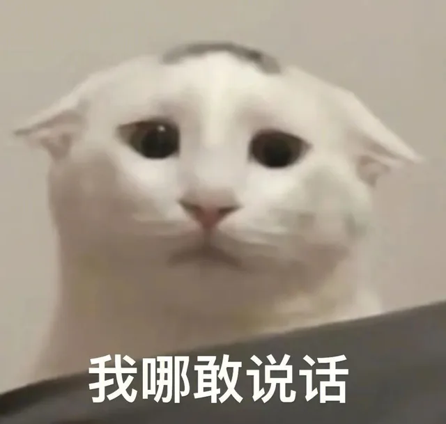 我哪敢说话