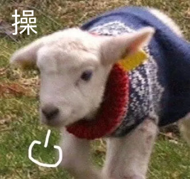 小羊草（小羊草）