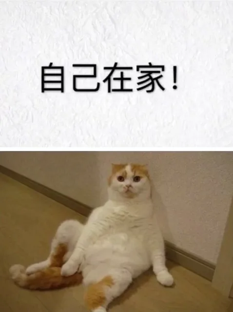 自己在家的形象VS见男友的形象 _内涵表情包