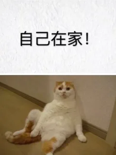 自己在家的形象VS见男友的形象 _内涵表情包