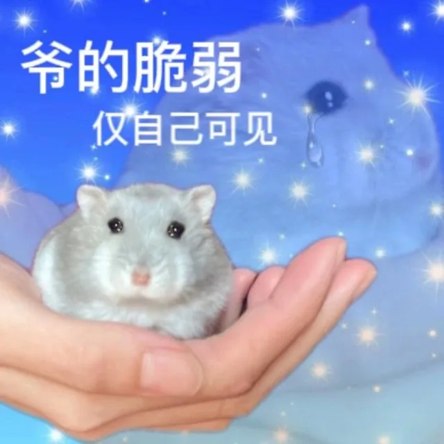 爷的脆弱仅自己可见（爷的脆弱仅自己可见）