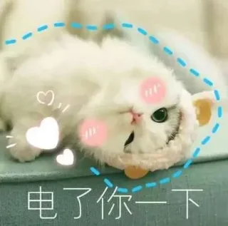 软萌猫咪表情包_猫咪_喵星人_萌萌哒表情包