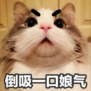 倒吸一回娘气（倒吸一回娘气）
