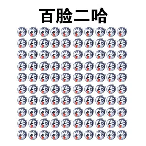 百脸二哈
